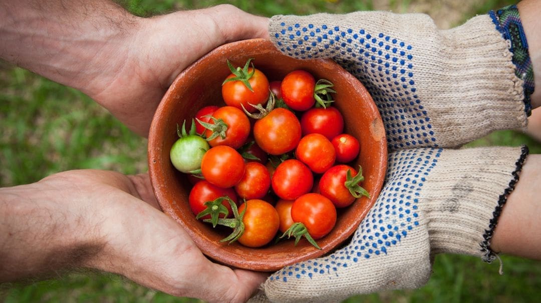 Soutenir les producteurs locaux : consommer en conscience et préserver la planète