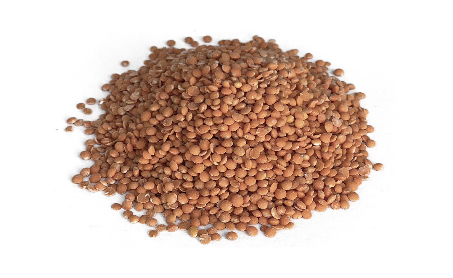 Lentilles corail bio en vrac